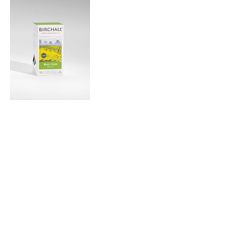 Birchall Mao Feng Green Tea