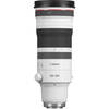 Canon RF 100-300mm f/2. 8L IS USM Lens