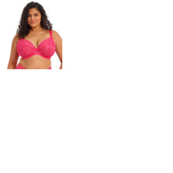 Elomi Darcie Underwired Plunge Bra