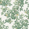 Orange Tree Wallpaper Cream / Green Holden 14240