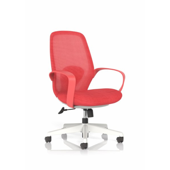 Ariel Mesh Task Chair