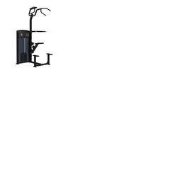 Pro Series, Assisted Chin