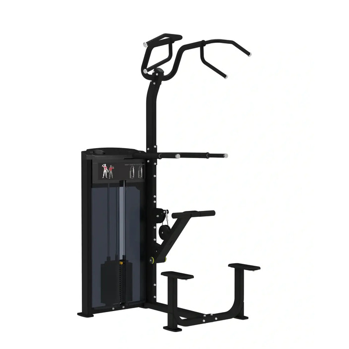Pro Series, Assisted Chin