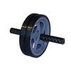 Gym Gear Ab Wheel Pro