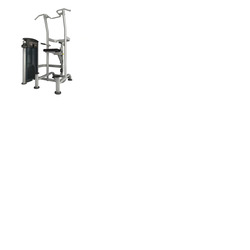 Gym Gear Perform Series Assisted Chin Dip
