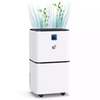 Morris 12L Smart Dehumidifier with WiFi Control