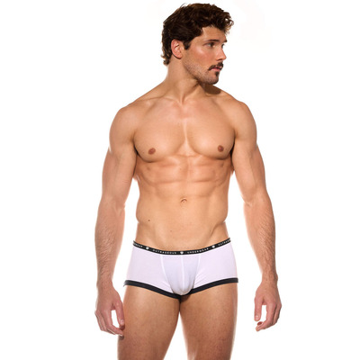 Gregg Homme Base X Trunk