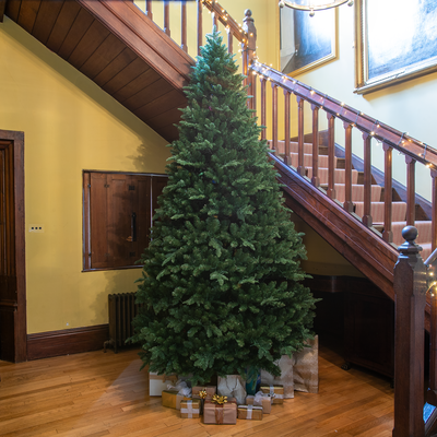 Windsor Fir Artificial PE Christmas Tree 6.5FT, 7.5FT, 8.5FT, 10FT, 8.5ft (2.6m)
