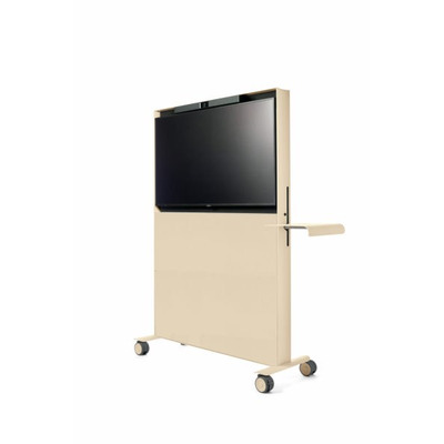 Agile Mobile Media Display