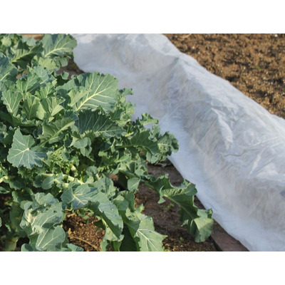 Horticultural Garden Fleece Plant Protection Warmacrop