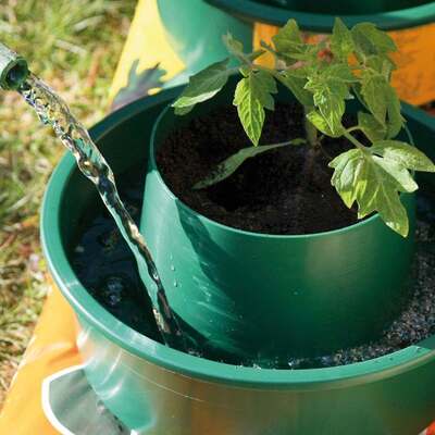 Tomato Growpots Growing Tomatoes in Pots