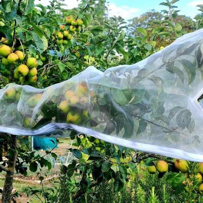 Fruit Tree Sleeves Netting Bags