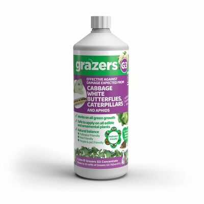 Grazers Cabbage White Butterflies & Caterpillars Pest Control