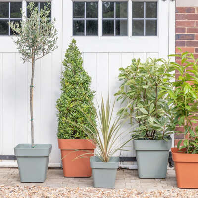 Square Traditional Garden Planter with Wheels