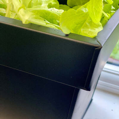 Window Box Black Zinc