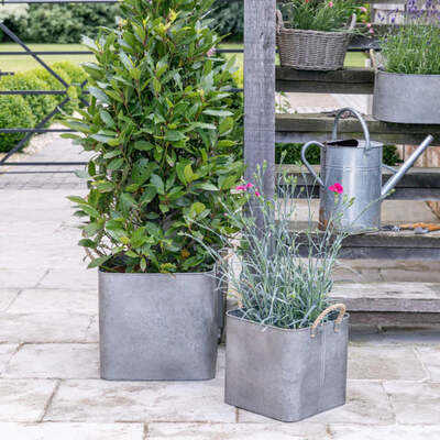 Galvanised Steel Planter Pots With Rope Handles