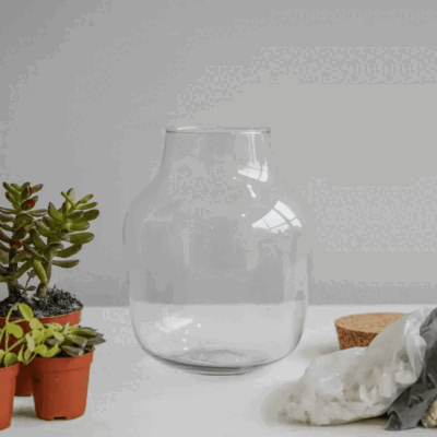 Glass Terrarium Kit for Indoor Plant Growing