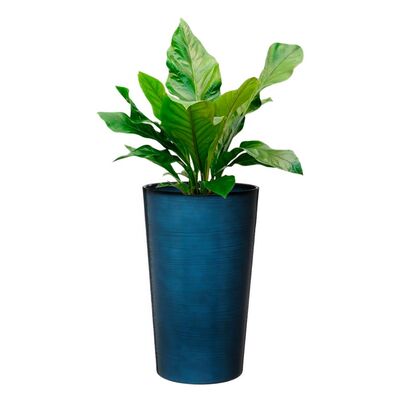 Tall Ceramic Finish Plant Pots Balata by Flowersea
