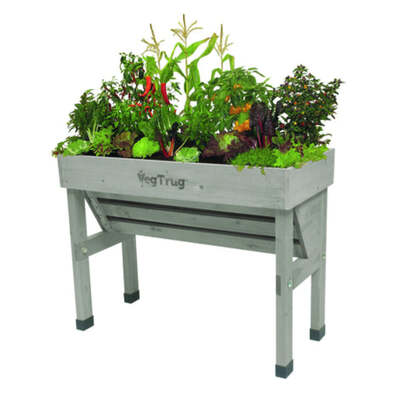 Vegtrug Small Wall Hugger 100% FSC