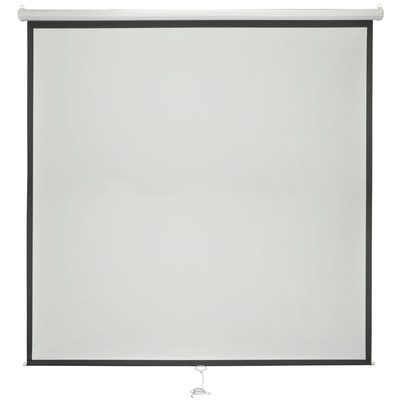 Manual Projector Screen 84" 1:1 Ratio