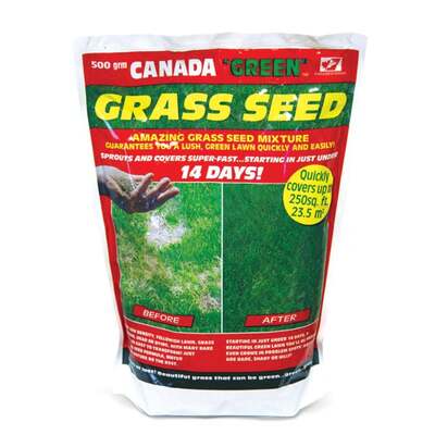 Canada Green Grass Seed Mixture