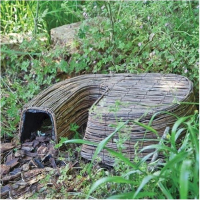 Hedgehog Retreat
