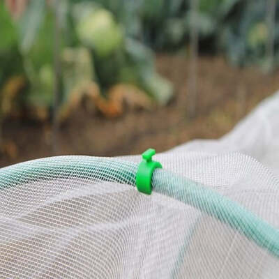 Flexible Garden Hoops for Creating Cloches Green