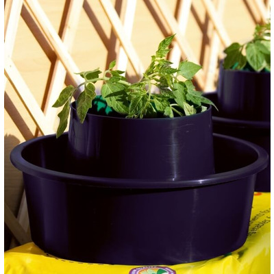Tomato Growpots Growing Tomatoes in Pots