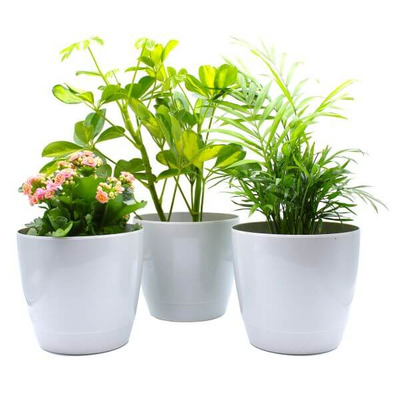 Indoor Plant Pot - Round