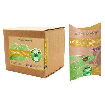 Chafer Beetle Trap and Refills