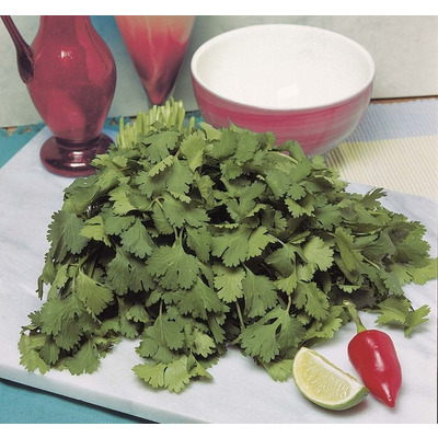 Organic Coriander Seed