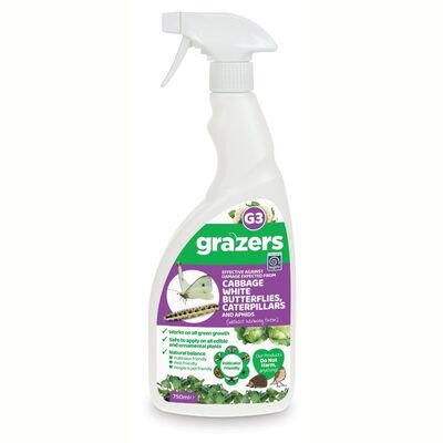 Grazers Cabbage White Butterflies & Caterpillars Pest Control