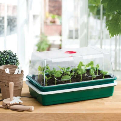 Electric Propagators