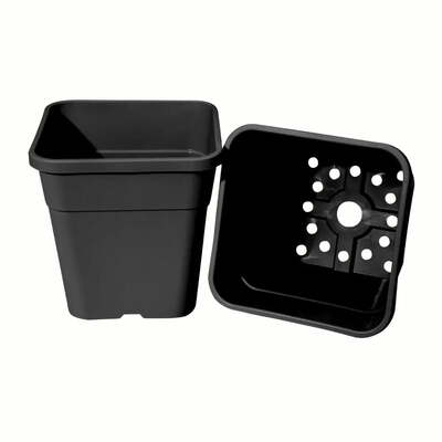 Quad Grow and Cloche Set