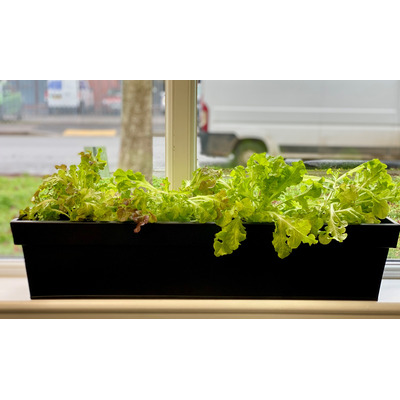 Window Box Black Zinc