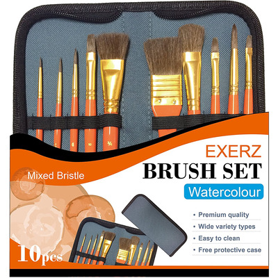 Exerz Artist Paint Brush Set " 10 pcs Professional Mixed Bristle Brushes in a Case - Watercolour & Gouache