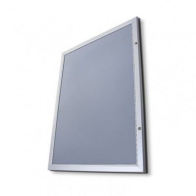 Economy Lockable Poster Frames