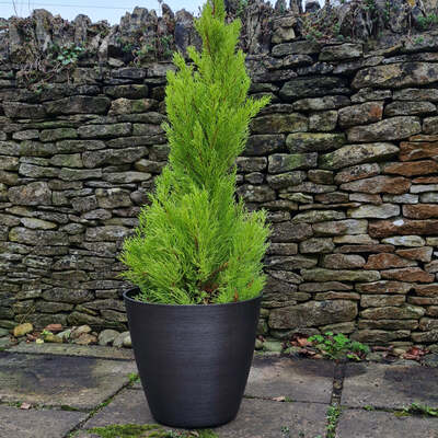 Dark Grey Plant Pots 5 Sizes Milan