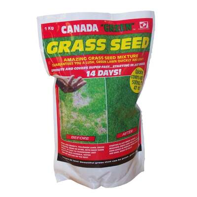 Canada Green Grass Seed Mixture