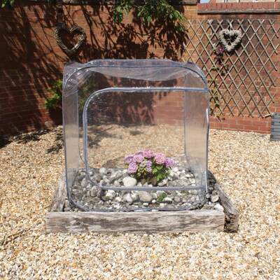 Portable Mini Greenhouse Cloche Which Pops Up