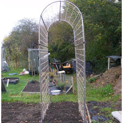 Pea and Bean Domed Frame