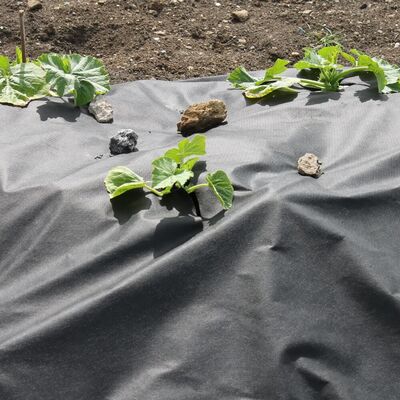Weed Control Fabric