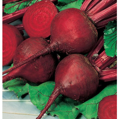 Organic Beetroot Seed - Detroit 2