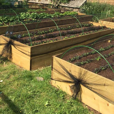 Flexible Garden Hoops for Creating Cloches Green
