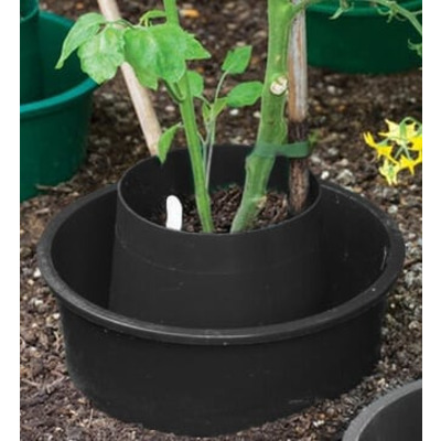 Tomato Growpots Growing Tomatoes in Pots