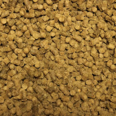 Slug Wool Pellets Slugplug 100% British