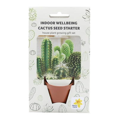 Grow Your Own Cactus