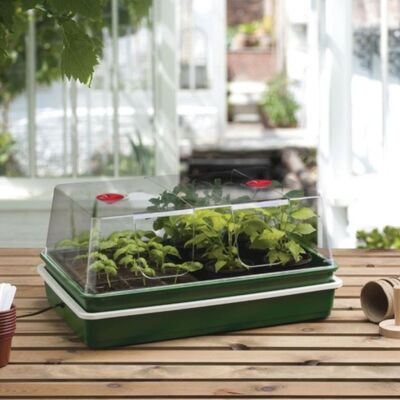 Electric Propagators