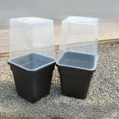Quad Grow and Cloche Set