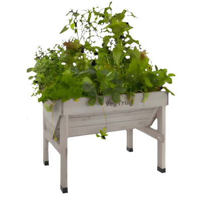 Classic VegTrug